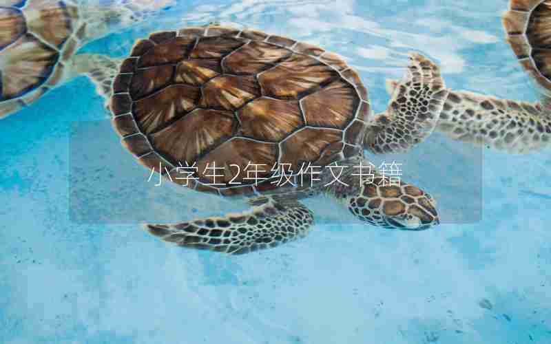 小学生2年级作文书籍