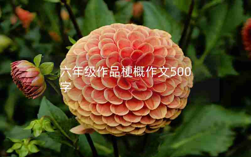 六年级作品梗概作文500字