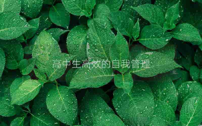 高中生高效的自我管理
