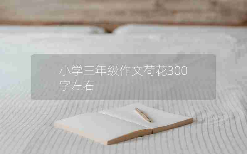 小学三年级作文荷花300字左右