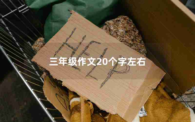 三年级作文20个字左右