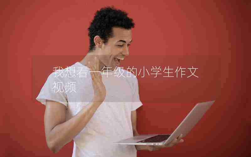 我想看一年级的小学生作文视频