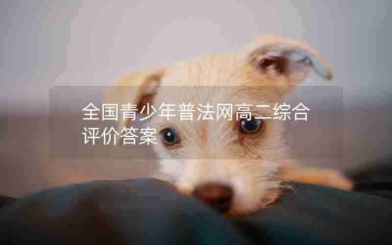 全国青少年普法网高二综合评价答案