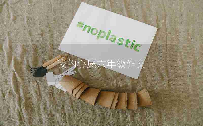我的心愿六年级作文