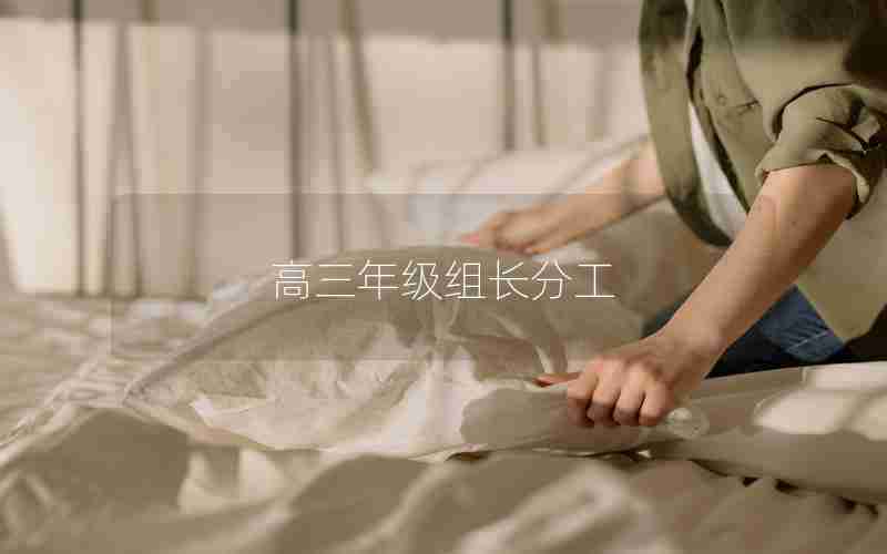 高三年级组长分工