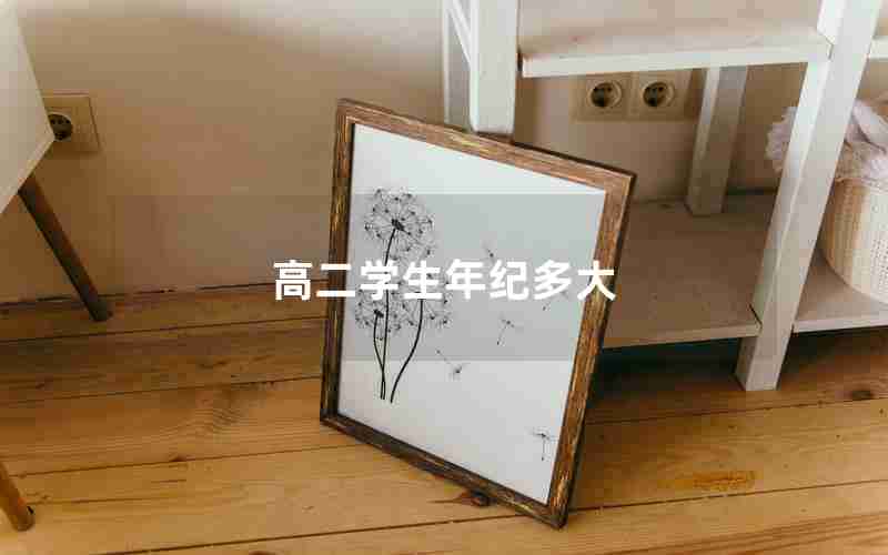 高二学生年纪多大