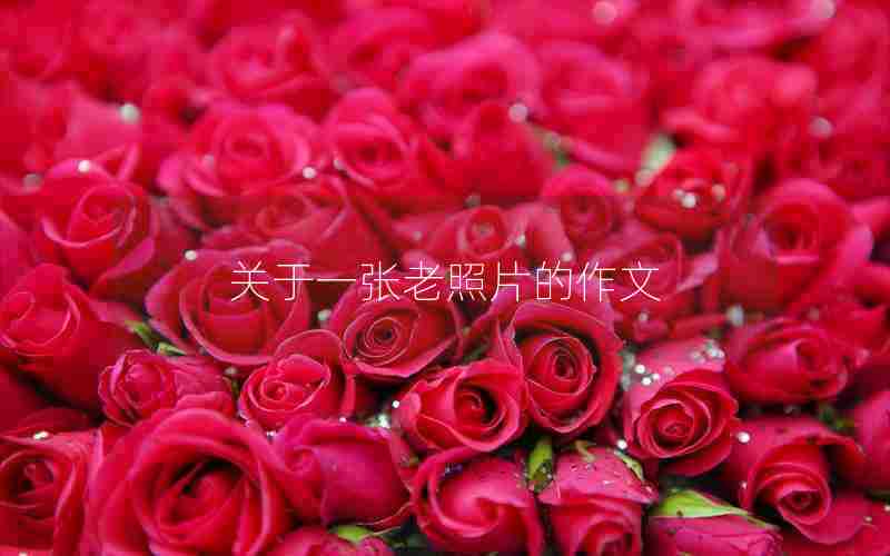 关于一张老照片的作文
