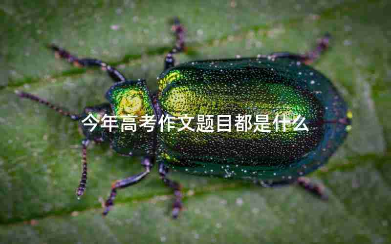 今年高考作文题目都是什么