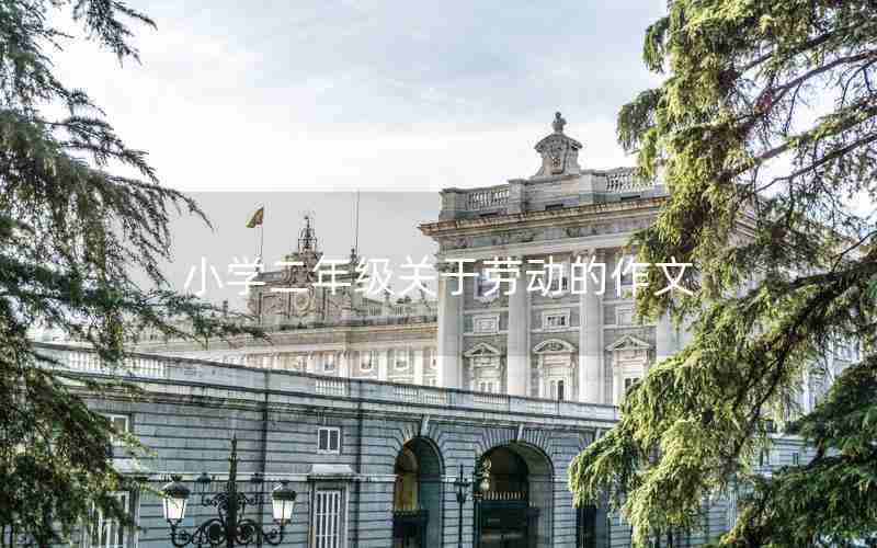 小学二年级关于劳动的作文