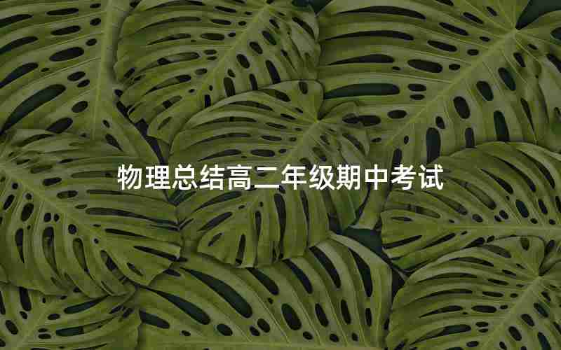 物理总结高二年级期中考试