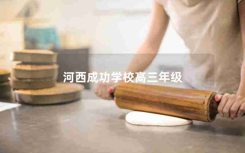 河西成功学校高三年级(河西成功学校高考榜)