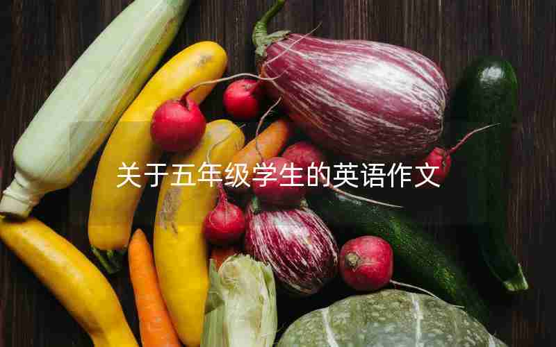 关于五年级学生的英语作文