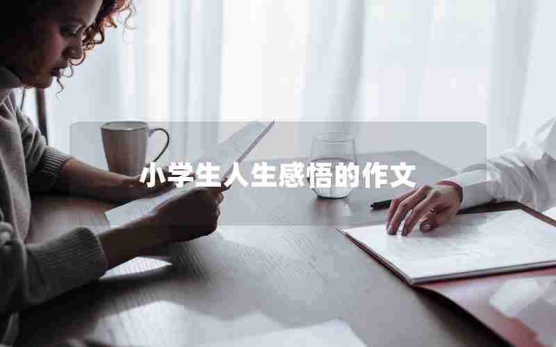 小学生人生感悟的作文