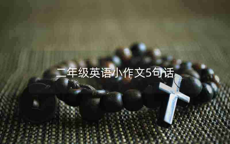 二年级英语小作文5句话