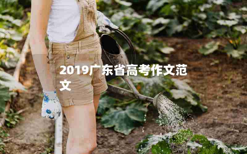 2019广东省高考作文范文