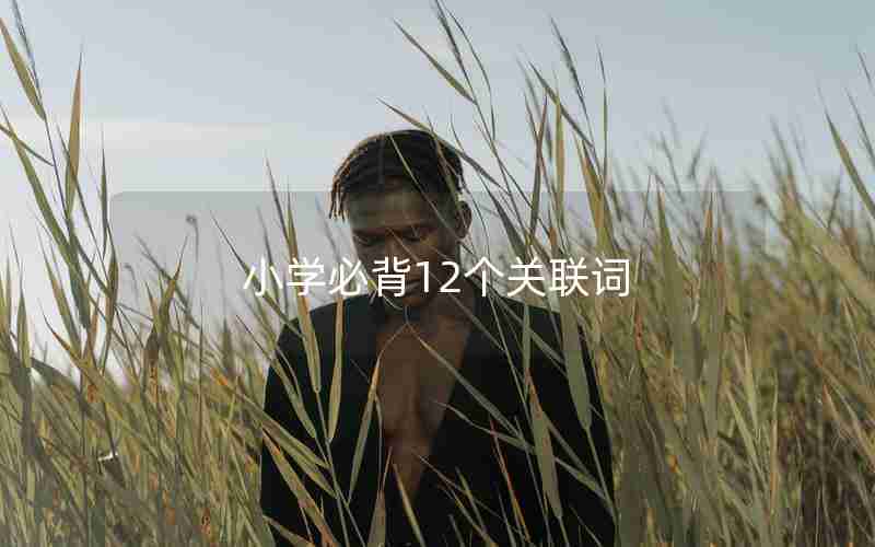 小学必背12个关联词