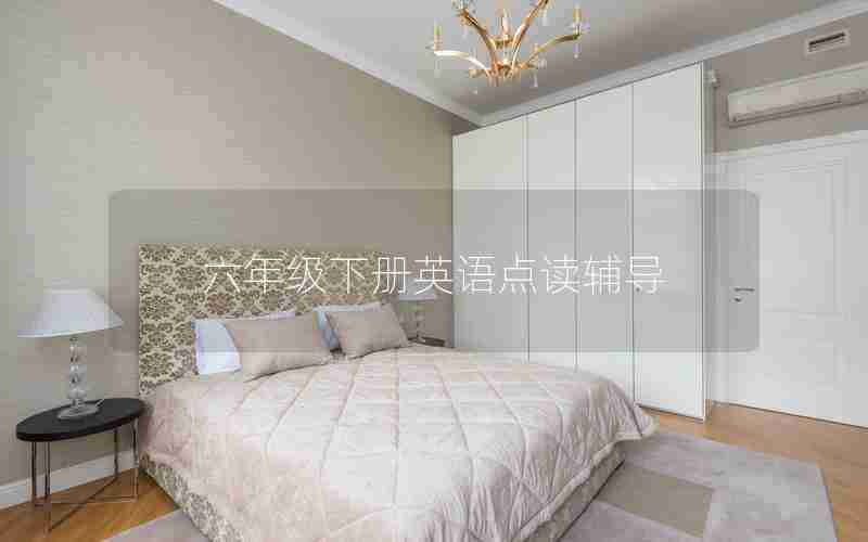 六年级下册英语点读辅导
