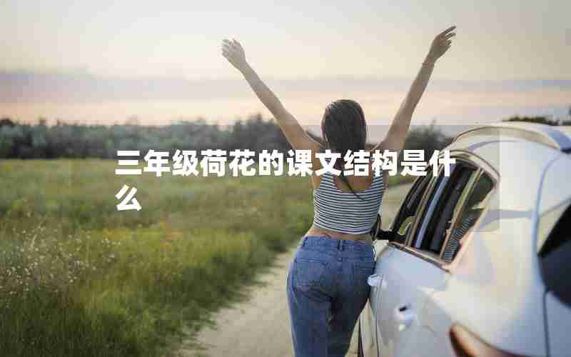 三年级荷花的课文结构是什么