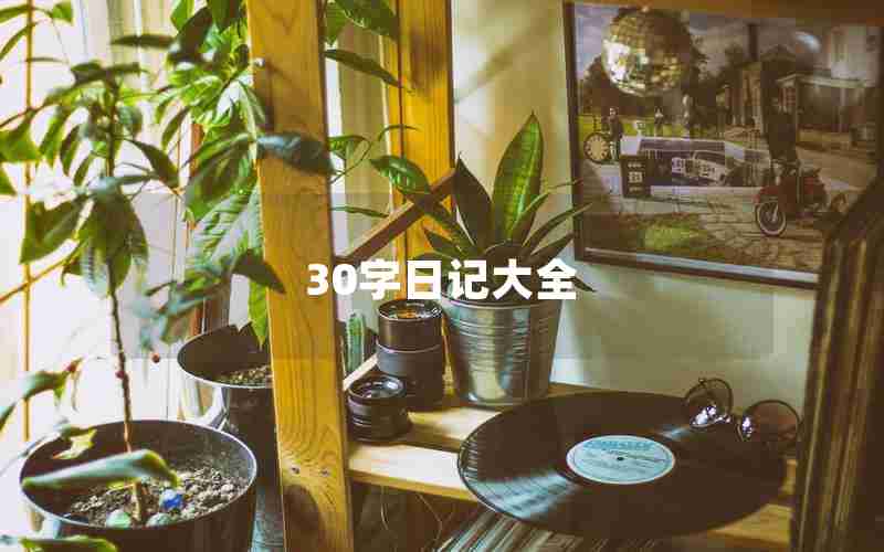 30字日记大全