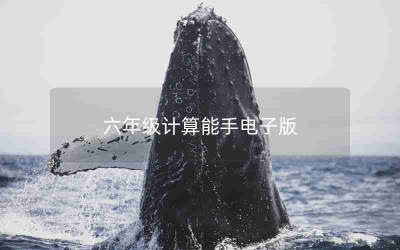 六年级计算能手电子版