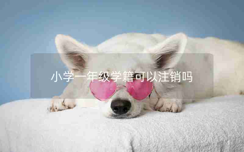 小学一年级学籍可以注销吗