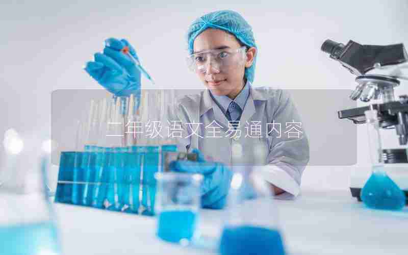 二年级语文全易通内容