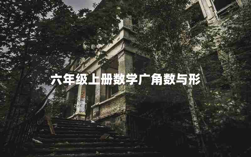 六年级上册数学广角数与形