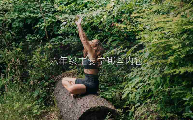 六年级主要学哪些内容