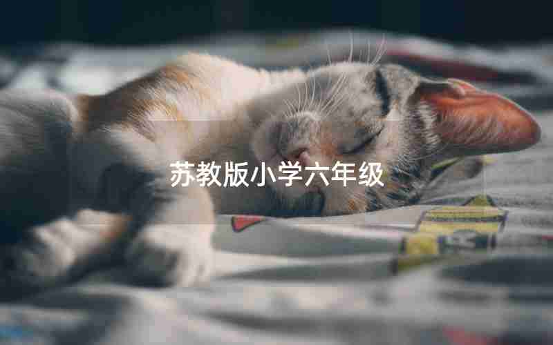 苏教版小学六年级