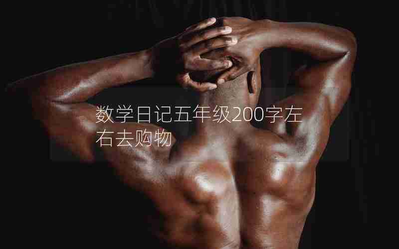 数学日记五年级200字左右去购物