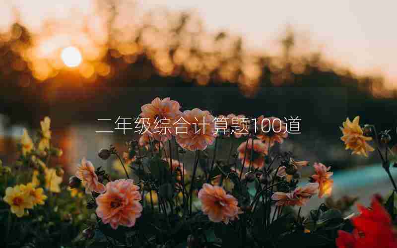 二年级综合计算题100道