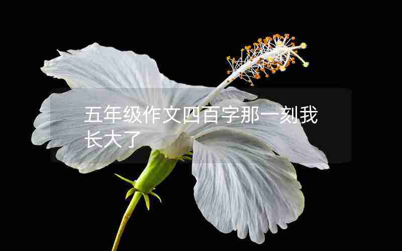 五年级作文四百字那一刻我长大了