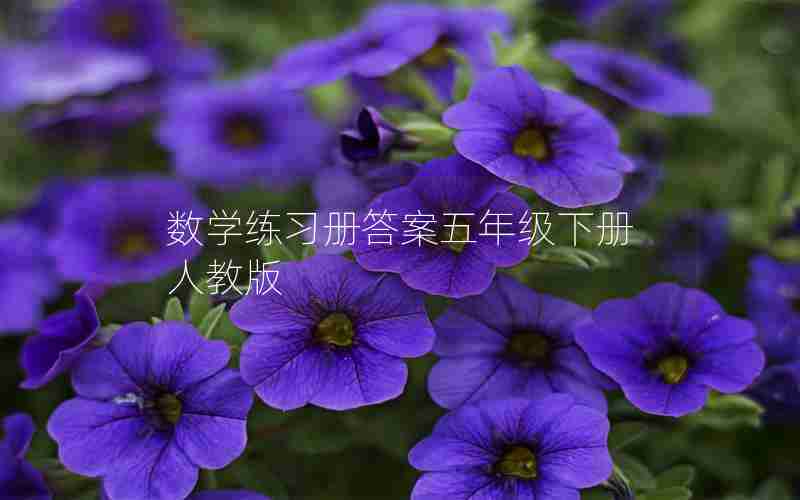 数学练习册答案五年级下册人教版