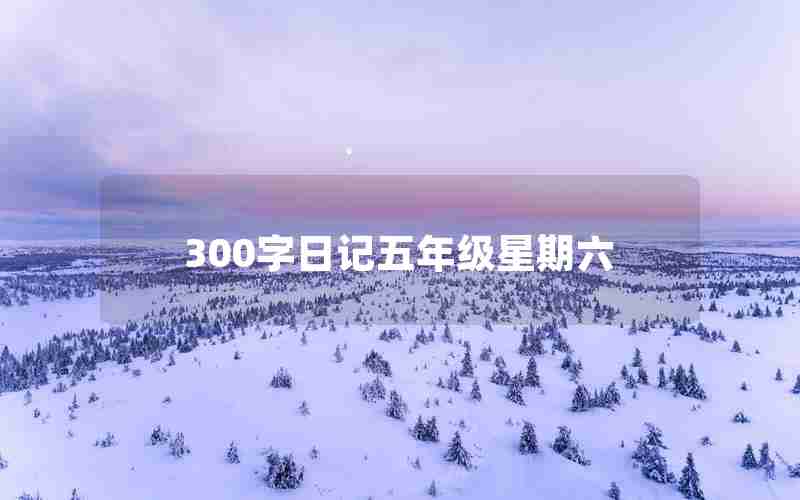 300字日记五年级星期六
