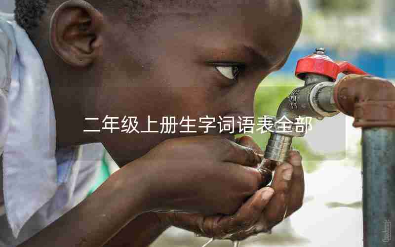 二年级上册生字词语表全部