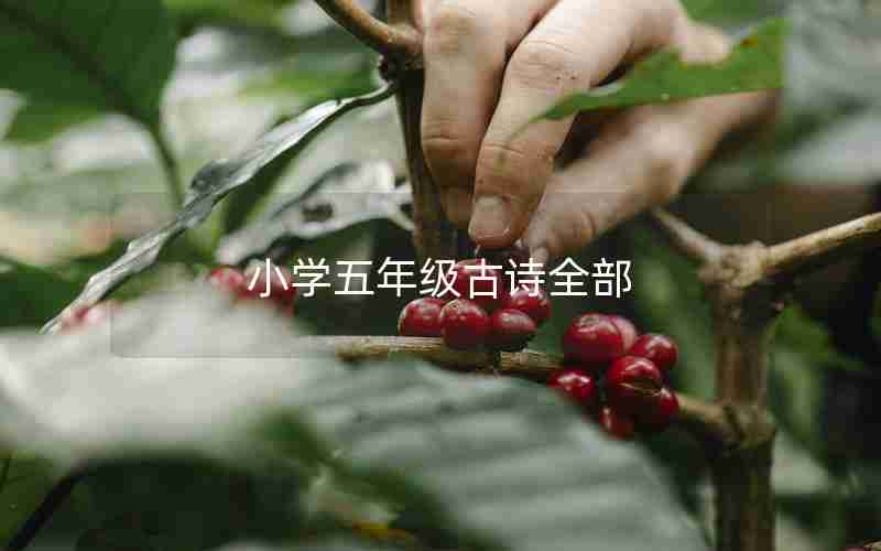 小学五年级古诗全部
