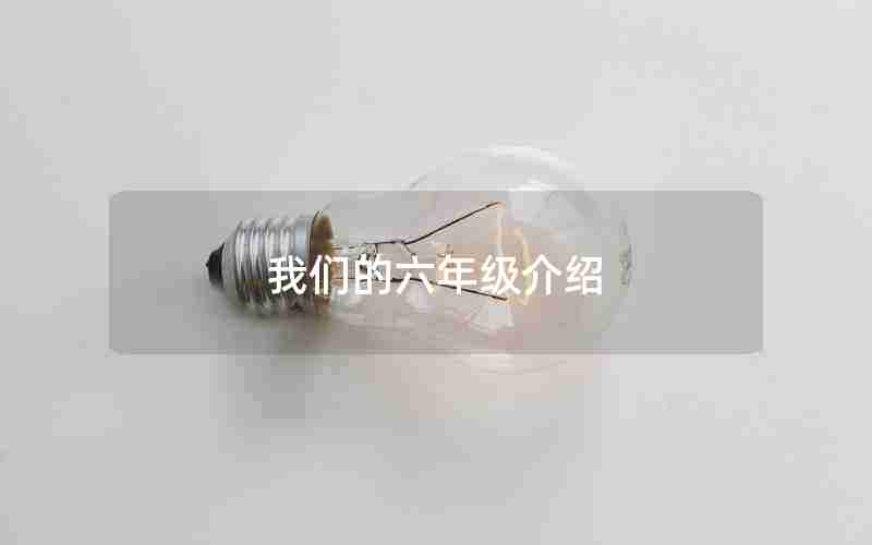 我们的六年级介绍