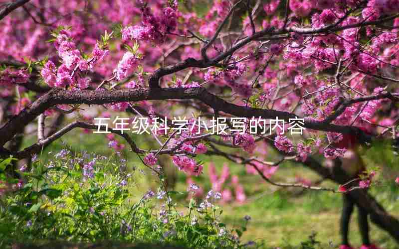 五年级科学小报写的内容