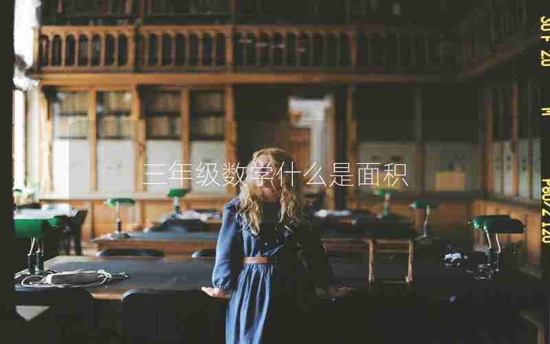 三年级数学什么是面积