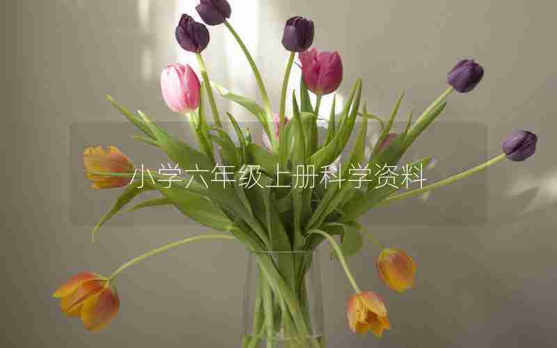小学六年级上册科学资料