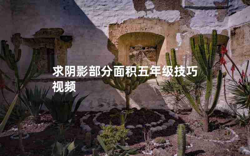 求阴影部分面积五年级技巧视频