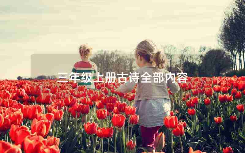 三年级上册古诗全部内容