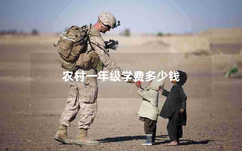 农村一年级学费多少钱