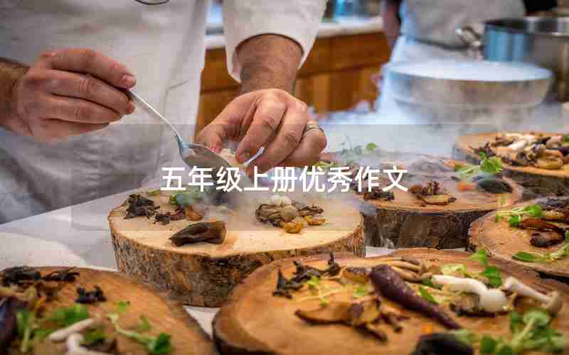 五年级上册优秀作文