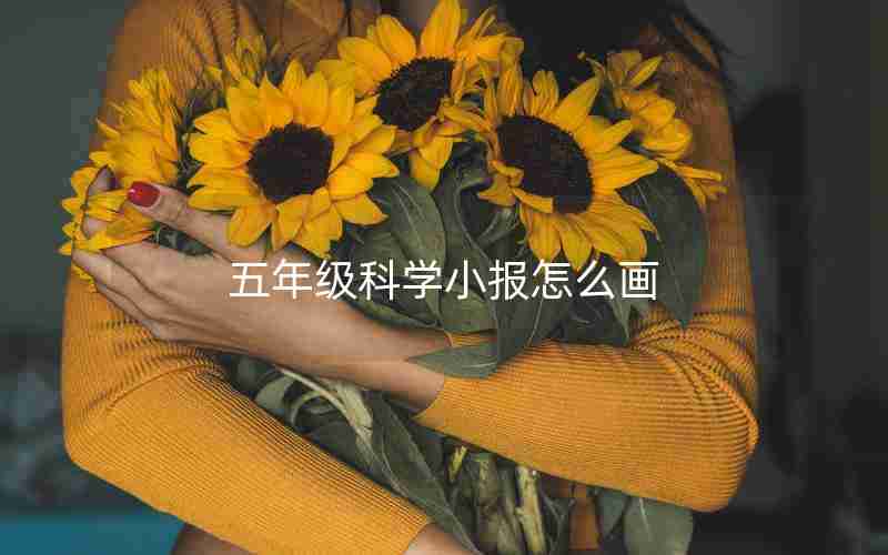 五年级科学小报怎么画
