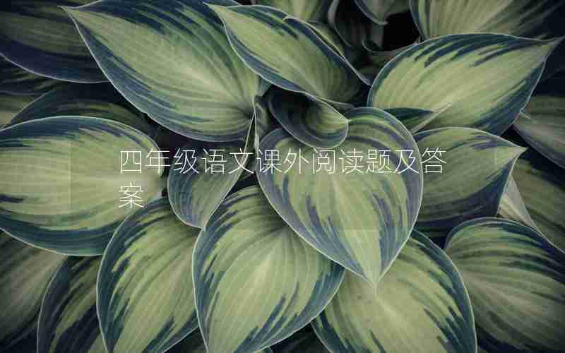 四年级语文课外阅读题及答案
