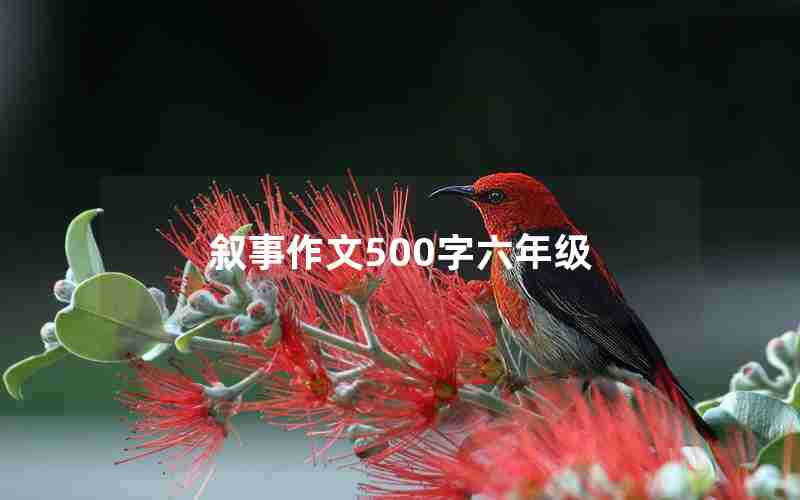 叙事作文500字六年级