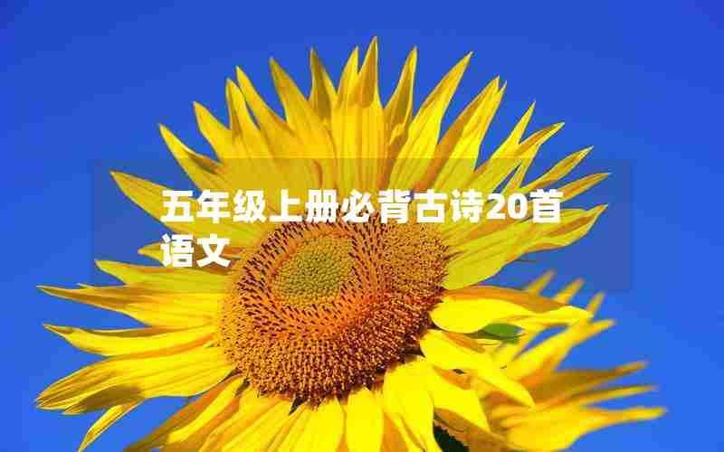 五年级上册必背古诗20首语文
