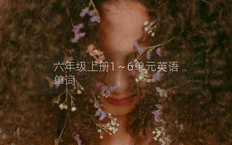 六年级上册1～6单元英语单词