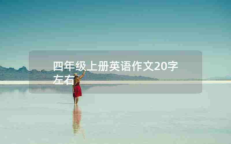 四年级上册英语作文20字左右